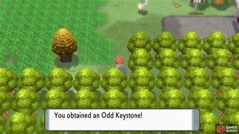 pokemon reborn odd keystone|Spiritomb Special Encounter .